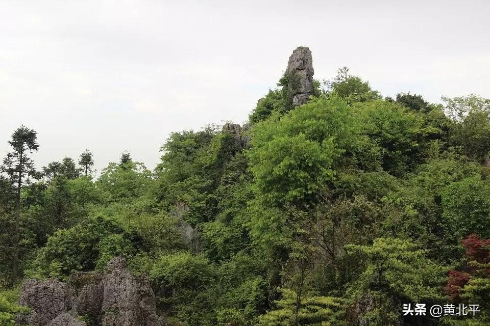 华蓥在哪里(华蓥山在渝北还是广安)-第6张图片