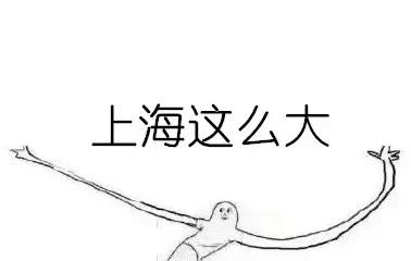 上海面积,上海到底有多大?-第2张图片 上海面积,上海到底有多大?-第2张图片