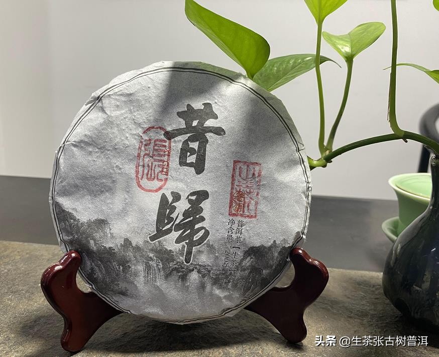 普洱茶十大知名品牌有哪些（最好喝的普洱茶品种推荐）-第6张图片