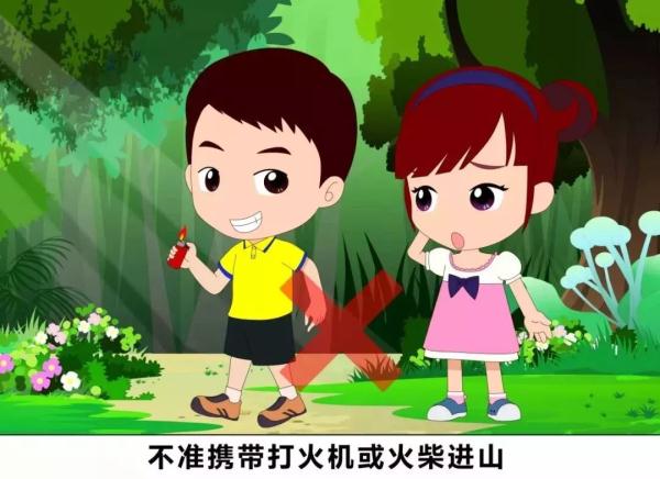 小学生森林防火内容简短的安全知识（森林防火安全知识教育）-第1张图片