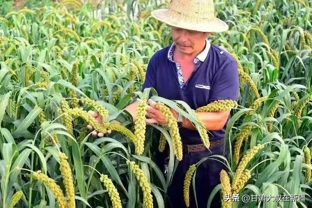 天气预报，明日16号大雨暴雨范围已确认，今秋冷如冬？农谚咋说-第5张图片