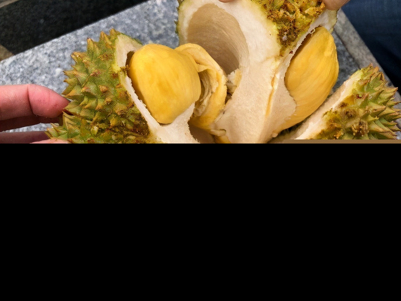 泰国托曼尼榴莲怎么样（托曼尼榴莲口感如何好吃吗）-第6张图片