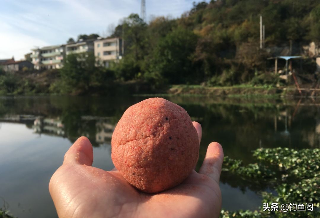 野钓鲤鱼用什么饵料最好钓（野生大鲤鱼最喜欢吃什么饵料）-第1张图片