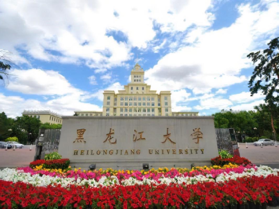 黑龙江大学排名前十都有哪些(黑龙江大学排名前十都有哪些学校)-第4张图片 黑龙江大学排名前十都有哪些(黑龙江大学排名前十都有哪些学校)-第4张图片