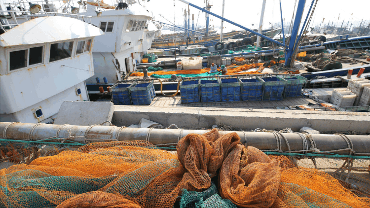 中国南极海上捕鱼船年捕鱼虾量2.6万吨，能赚2亿-第2张图片