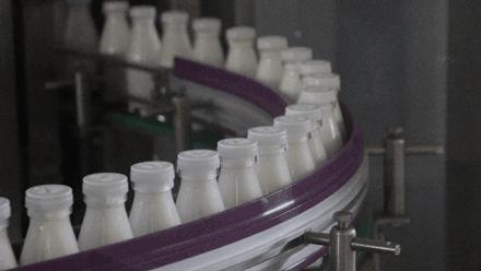 海河牛奶怎么样（天津海河牛奶质量可靠吗味道好喝吗）-第20张图片