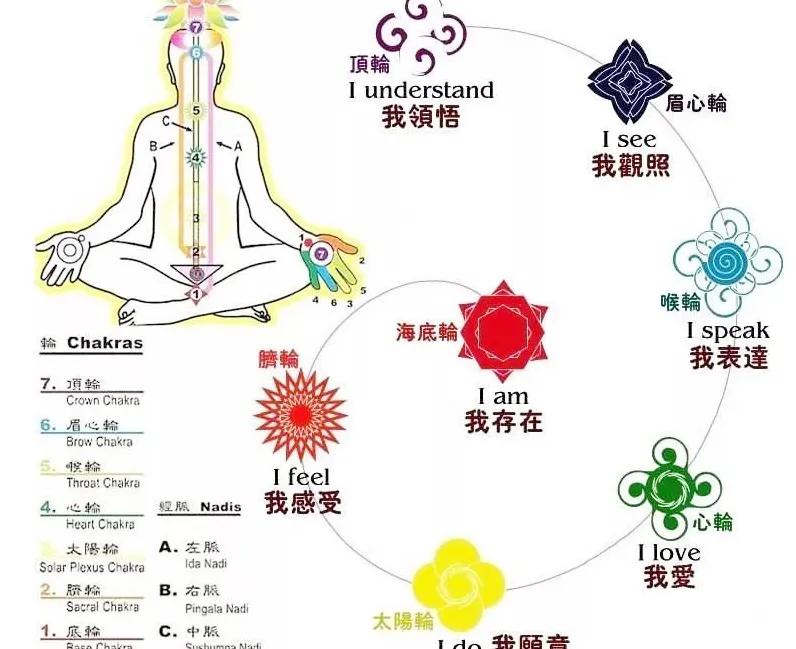 瑜伽的主要六大流派分别为（瑜伽的流派有哪些）-第12张图片