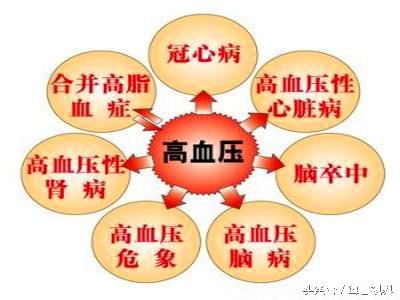 血压高吃什么食物可以降下来(六种超级降压食物水果)-第1张图片 血压高吃什么食物可以降下来(六种超级降压食物水果)-第1张图片