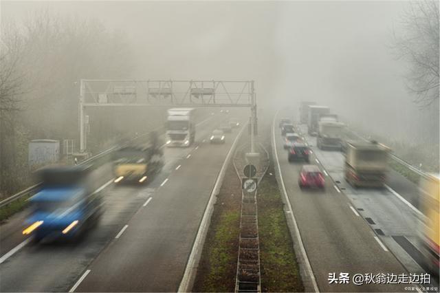 青黄不接是什么意思（青黄不接在山东黄岛人眼里的含义）-第5张图片