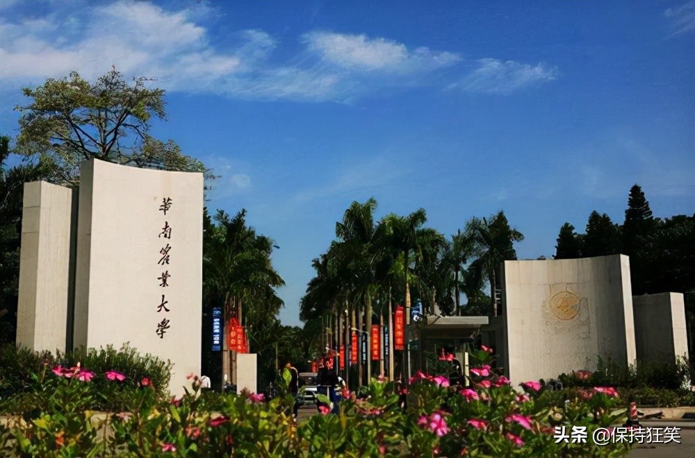 广东的大学最新排名（广东比较好的大学有哪些）-第6张图片