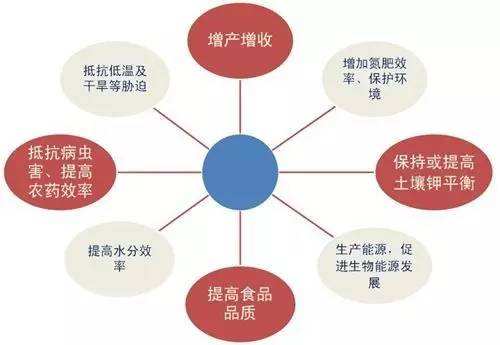 钾肥的作用(种植农作物离不了钾肥，钾肥有什么作用？过量施用钾肥有什么危害)-第2张图片