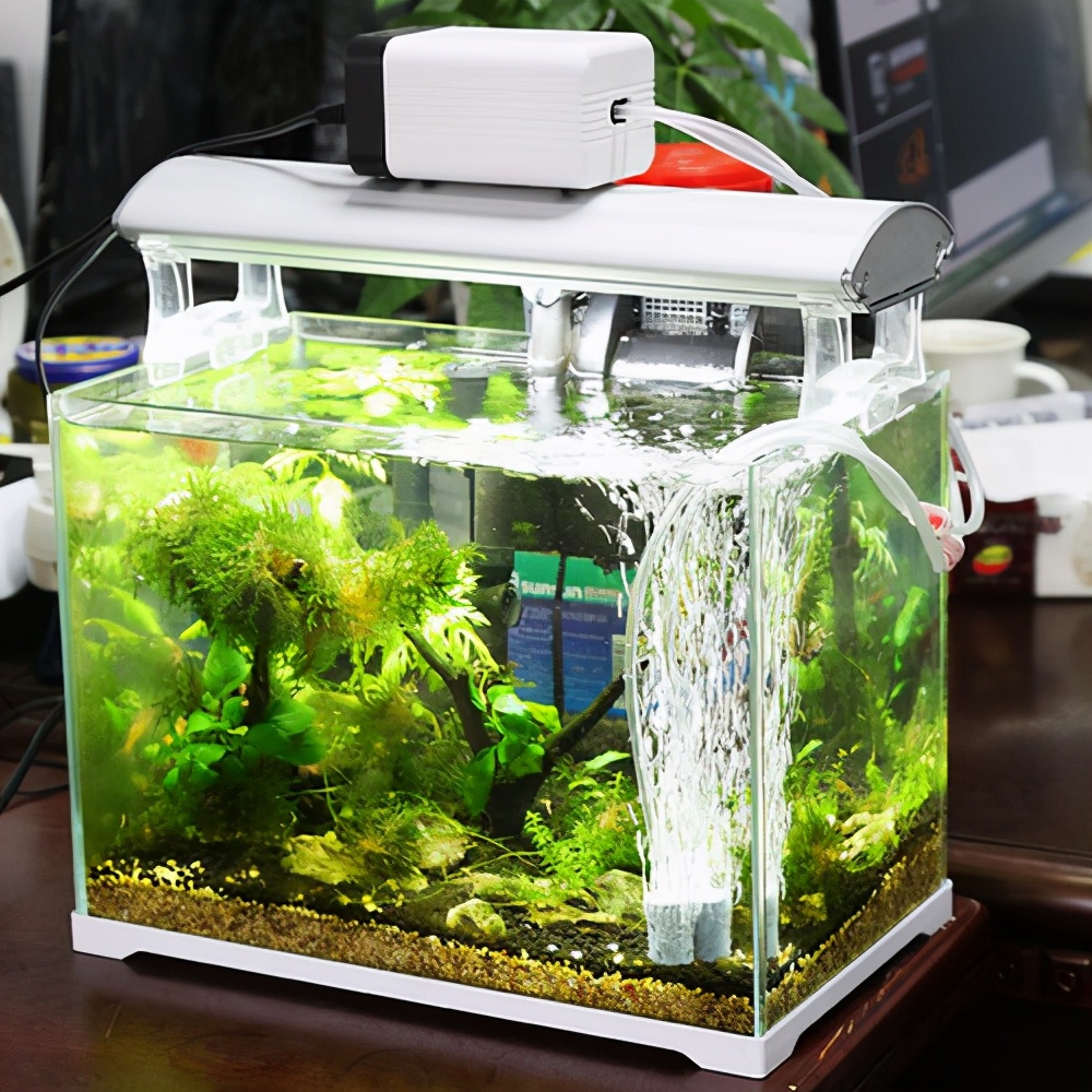 鱼缸增氧泵安装示意图（鱼缸增氧泵是必须安装的吗）-第2张图片