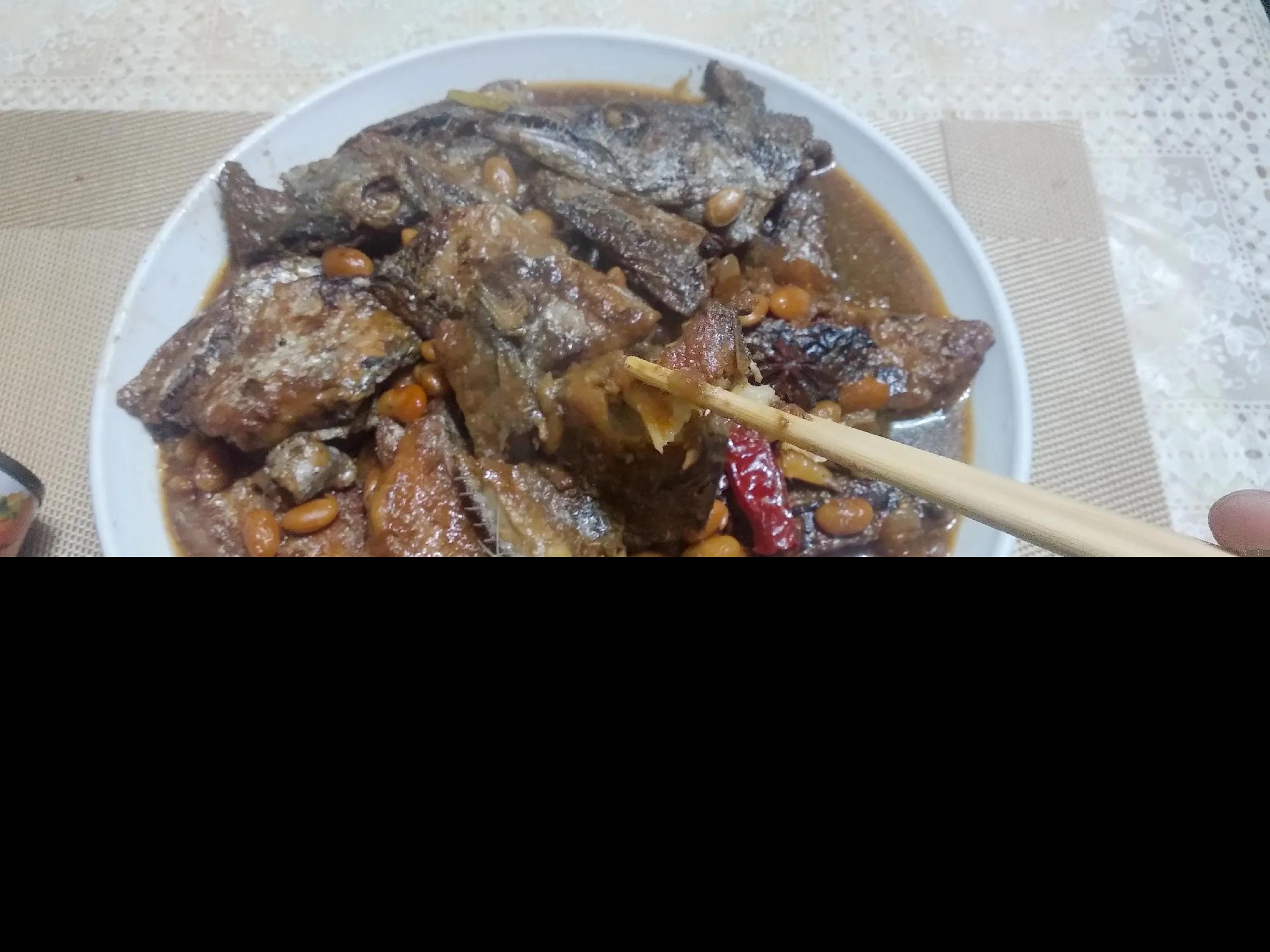 带鱼能人工养殖吗为什么（带鱼到底能不能人工养殖）-第4张图片