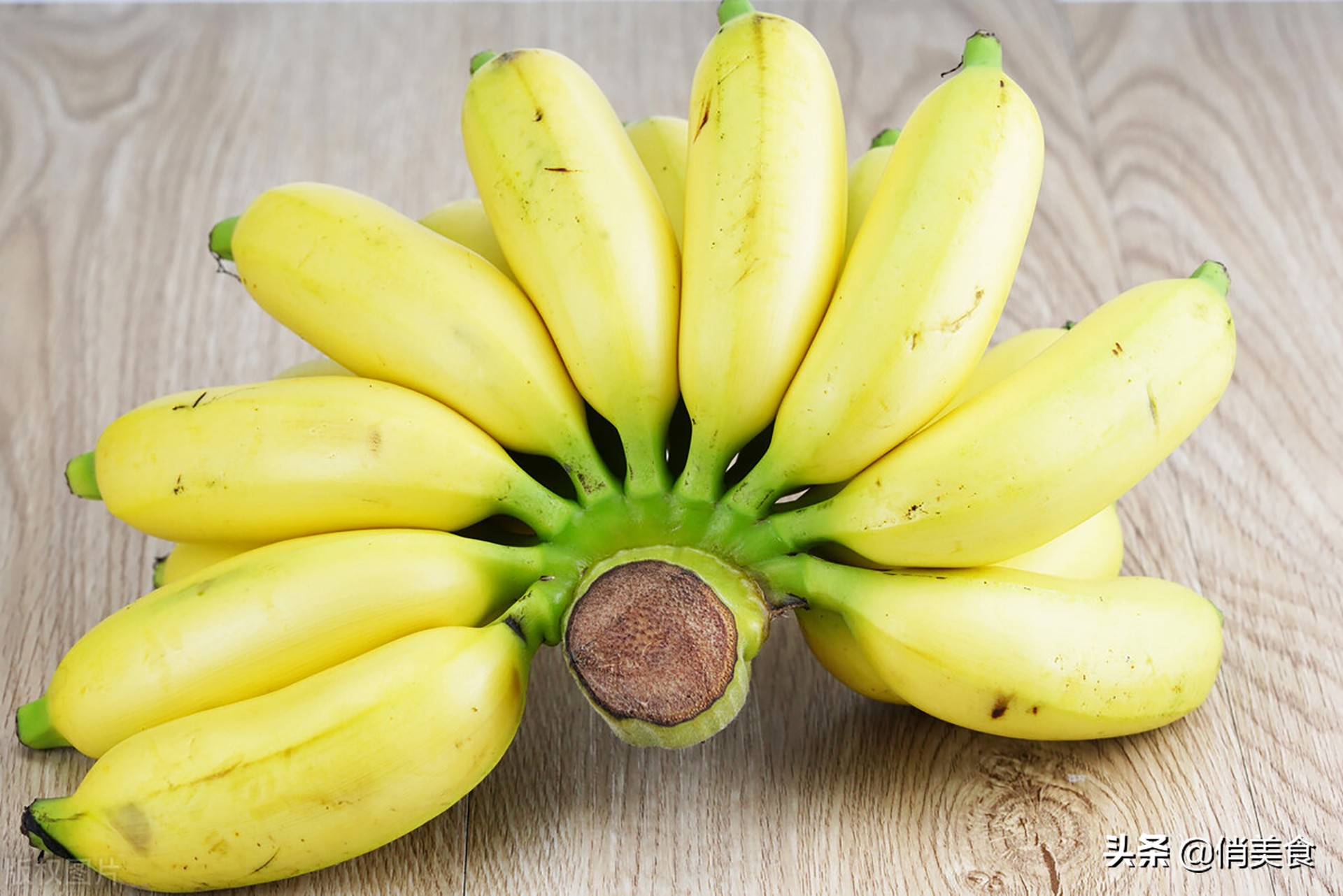 芭蕉和香蕉的区别（记住这3点就清楚芭蕉香蕉的不一样了）-第1张图片