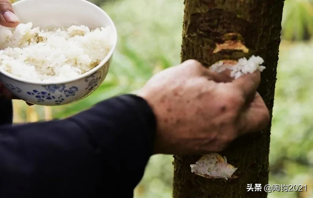 土家族的风俗有哪些（重庆土家族有哪些民俗文化特色）-第2张图片