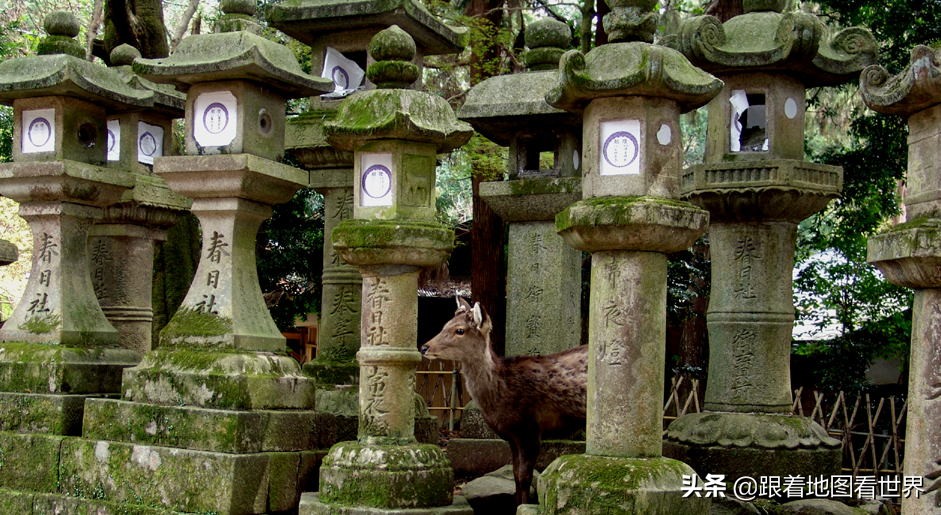 奈良是日本哪个城市位置（日本奈良是一个什么样的地方）-第13张图片