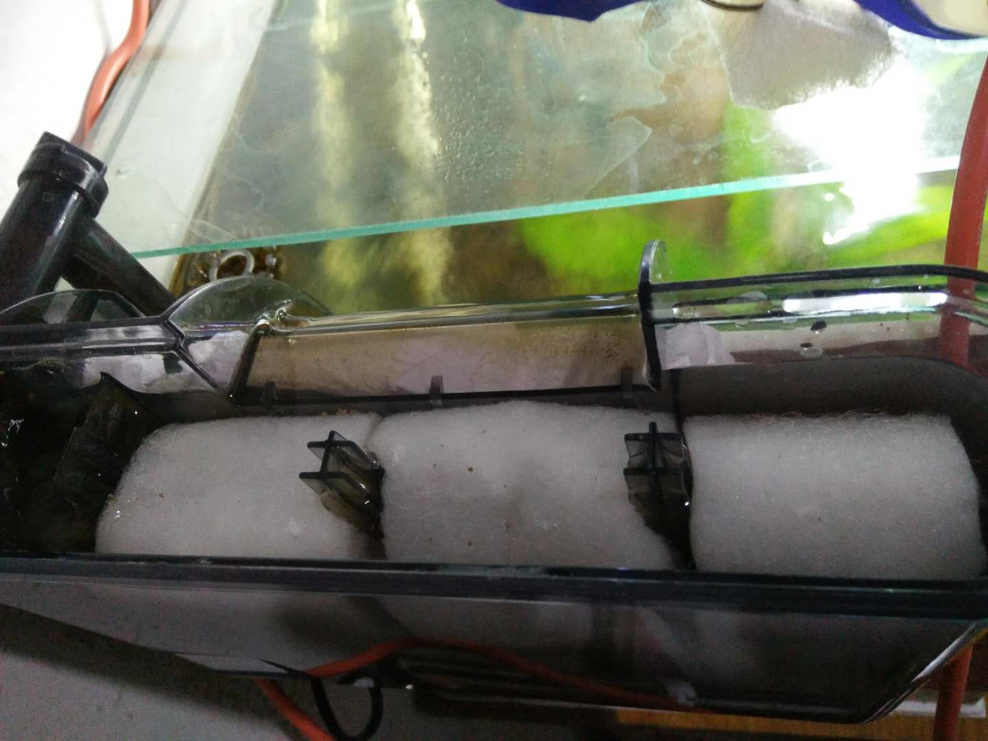 鱼缸过滤棉正确的放置方法（过滤棉的主要作用是什么）-第1张图片