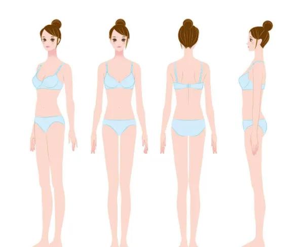 女生腿长标准对照表（最新女性身高与腿围标准对照表）-第1张图片