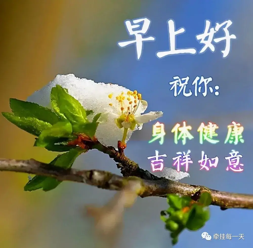 天气冷了关心问候朋友的话有哪些-第1张图片 天气冷了关心问候朋友的话有哪些-第1张图片