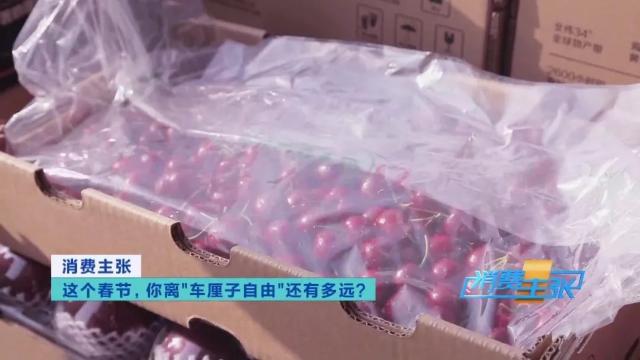 车厘子几个j代表什么意思,车厘子jd相当于几个j-第24张图片