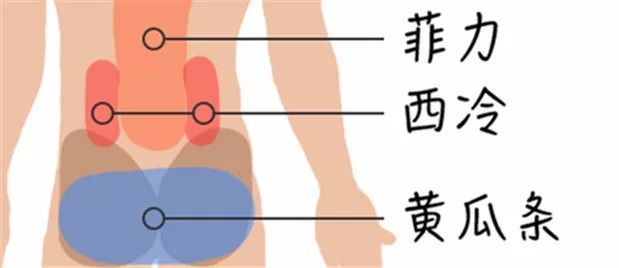 牛腩是牛身上的哪个部位图片,牛身上108个部位名称-第16张图片