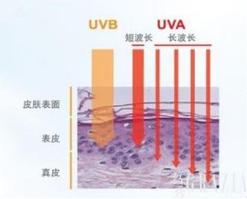 防晒一年四季都要涂吗（为什么春夏秋冬都要涂防晒）-第1张图片