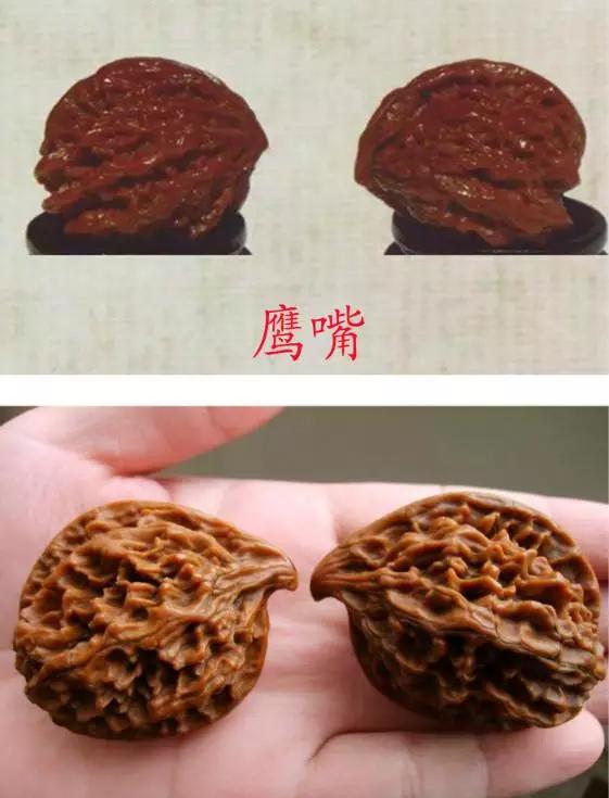 文玩核桃50种大全（文玩核桃的品种介绍和图片）-第30张图片