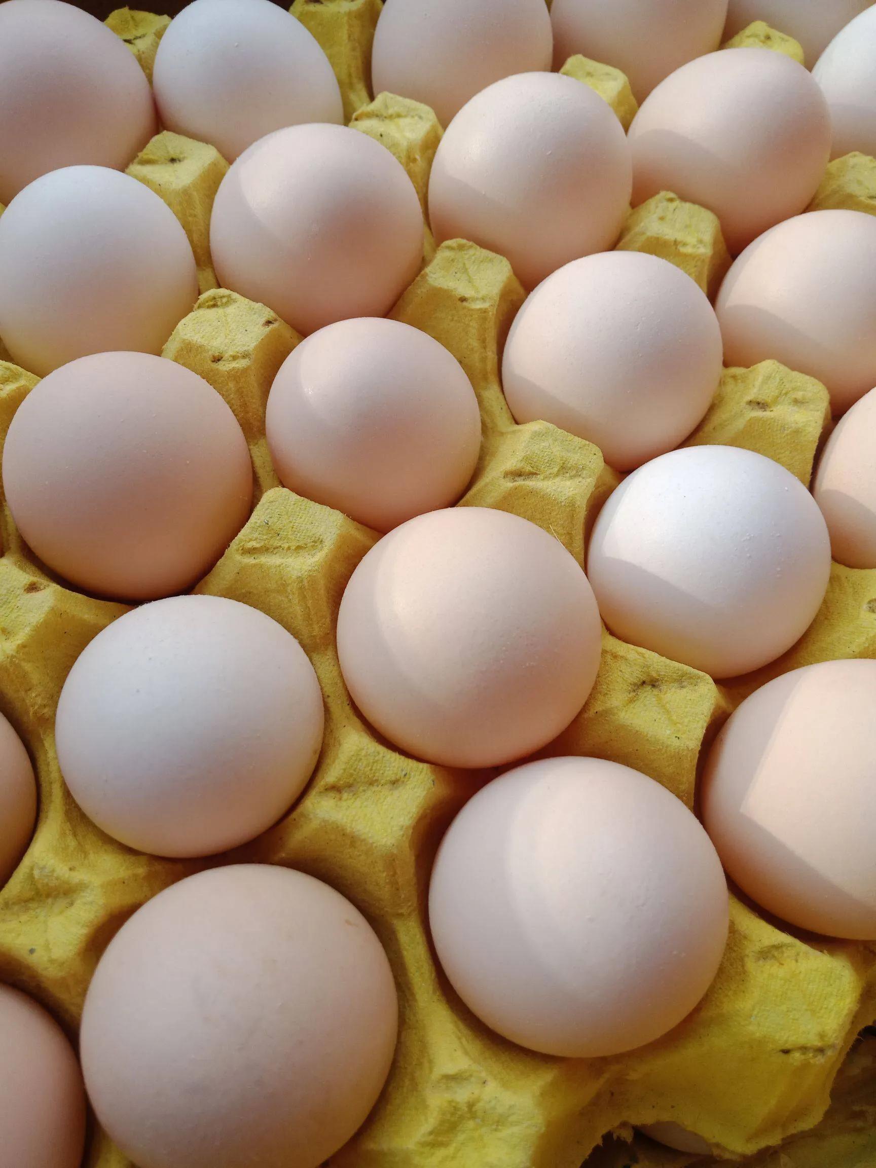 鸡蛋冰箱冷藏能放多久（常温下鸡蛋可以放多久不变质）-第3张图片