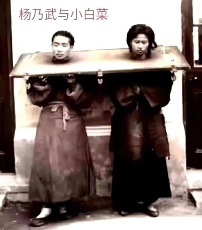 杨月楼案结局-第1张图片 杨月楼案结局-第1张图片