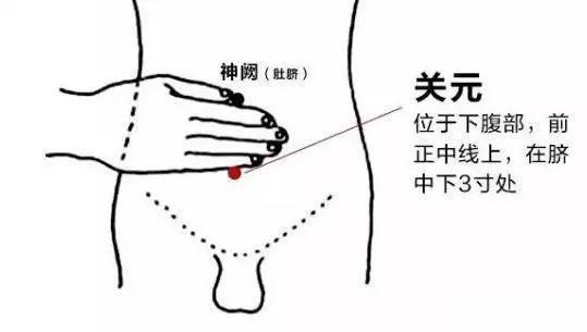 头上白发越长越多的原因是什么?-第6张图片 头上白发越长越多的原因是什么?-第6张图片