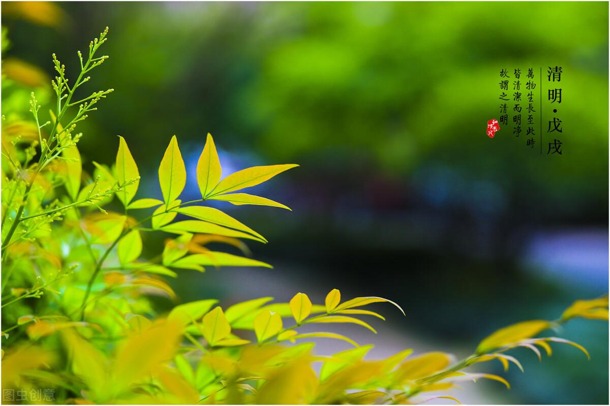 寒食节是清明节的前几天(寒食节和清明节)-第3张图片 寒食节是清明节的前几天(寒食节和清明节)-第3张图片