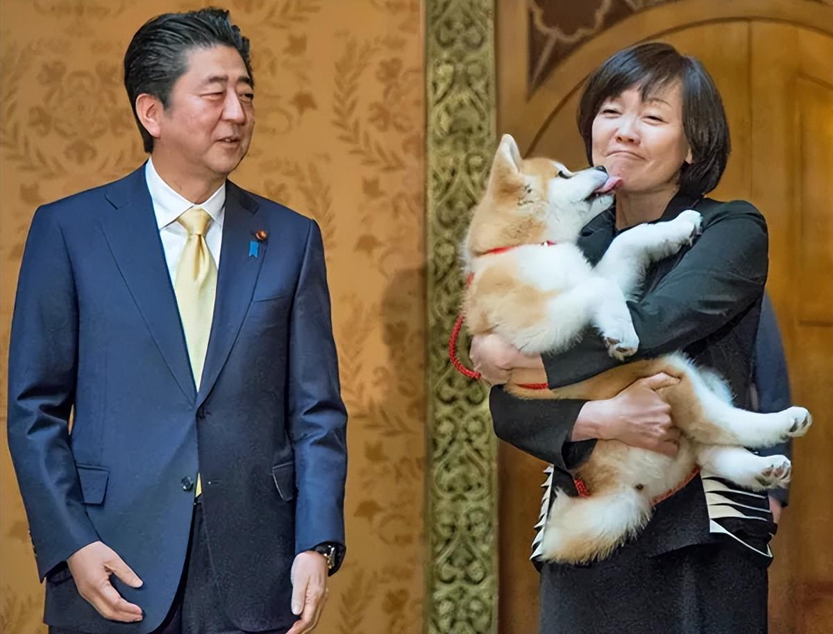 安倍昭惠遭遇车祸:逛夜店、酗酒、追星,日本前第一夫人是个狠人-第34张图片 安倍昭惠遭遇车祸:逛夜店、酗酒、追星,日本前第一夫人是个狠人-第34张图片