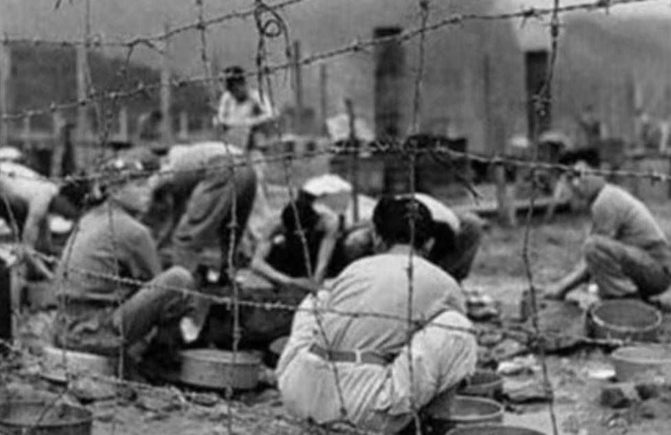 朝鲜战争伤亡,朝鲜战争双方伤亡-第5张图片 朝鲜战争伤亡,朝鲜战争双方伤亡-第5张图片
