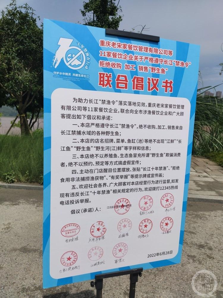 长江上有哪些鱼-第4张图片 长江上有哪些鱼-第4张图片