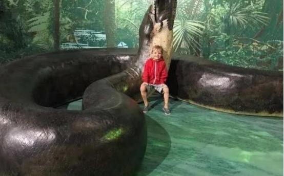 世界最大的蛇有多大多少斤（目前发现最大的蛇在哪里）-第3张图片