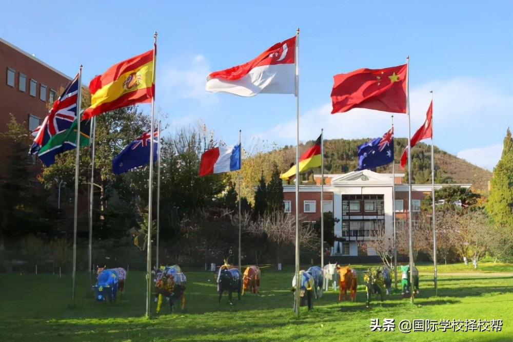 北京私立国际学校排名前十有哪些(北京TOP1私立国际学校221最新学费汇总)-第7张图片