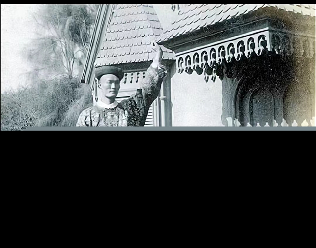 詹世钗真实身高多少图片（詹世钗身高3米19是真的吗）-第5张图片