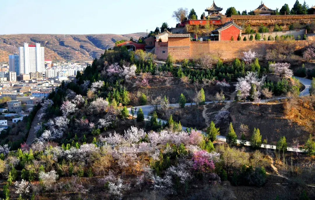 定西旅游必游景点有哪些(定西旅游景点介绍)-第30张图片