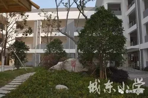 泰州市公立小学排名榜(泰州市城南小学上榜第一省一级实验小学)-第16张图片