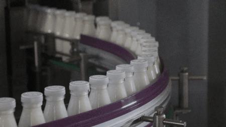 海河牛奶怎么样（天津海河牛奶质量可靠吗味道好喝吗）-第19张图片