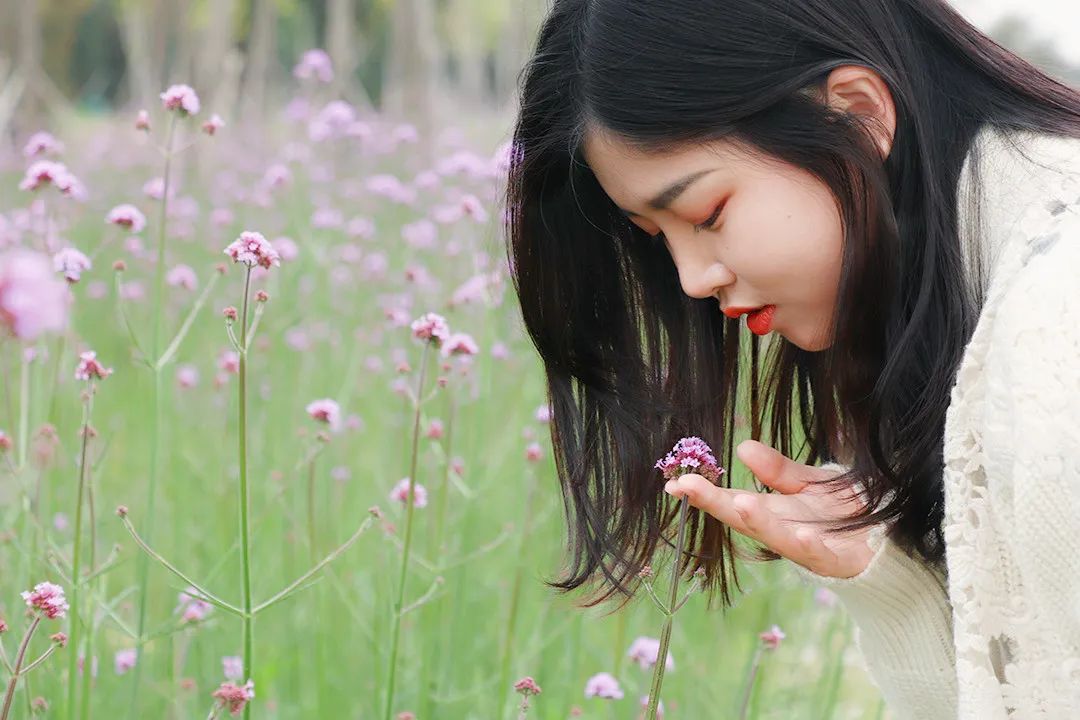 向日葵花海(泉州的向日葵花海好玩吗？值得一去吗？位置在哪里)-第30张图片