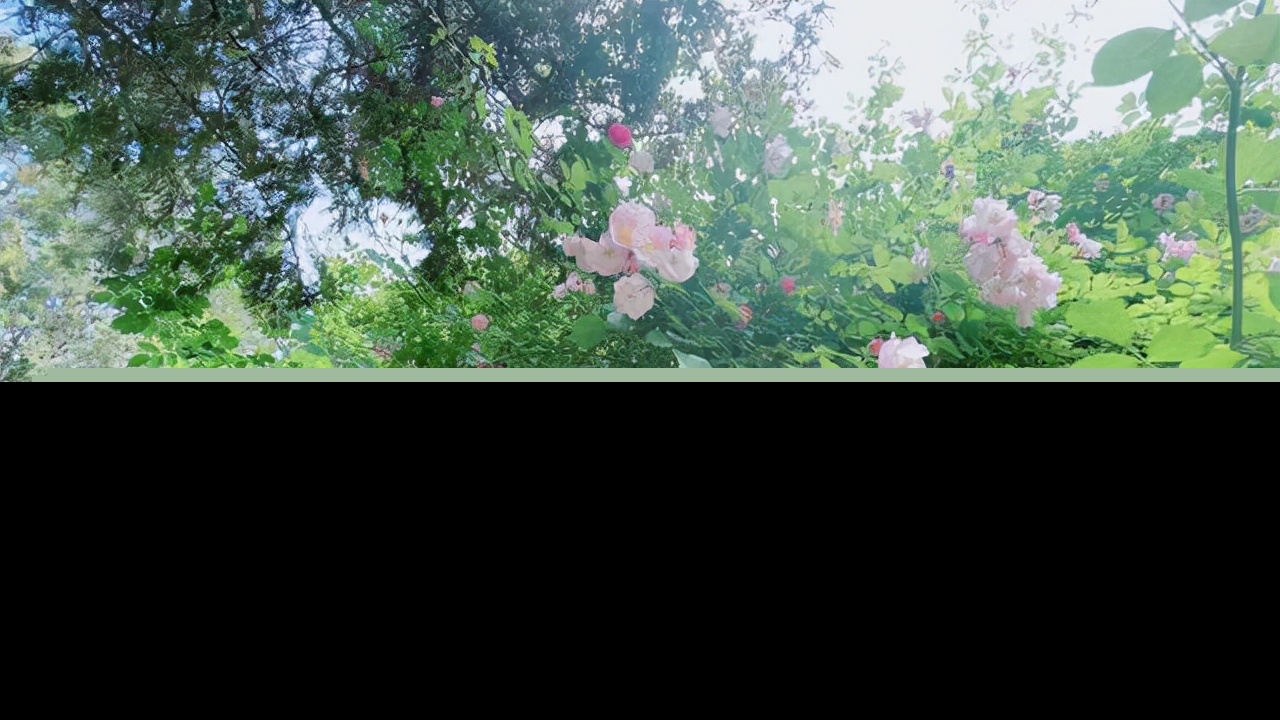 当两个人都不主动联系（男人多久不联系你算彻底放弃）-第4张图片