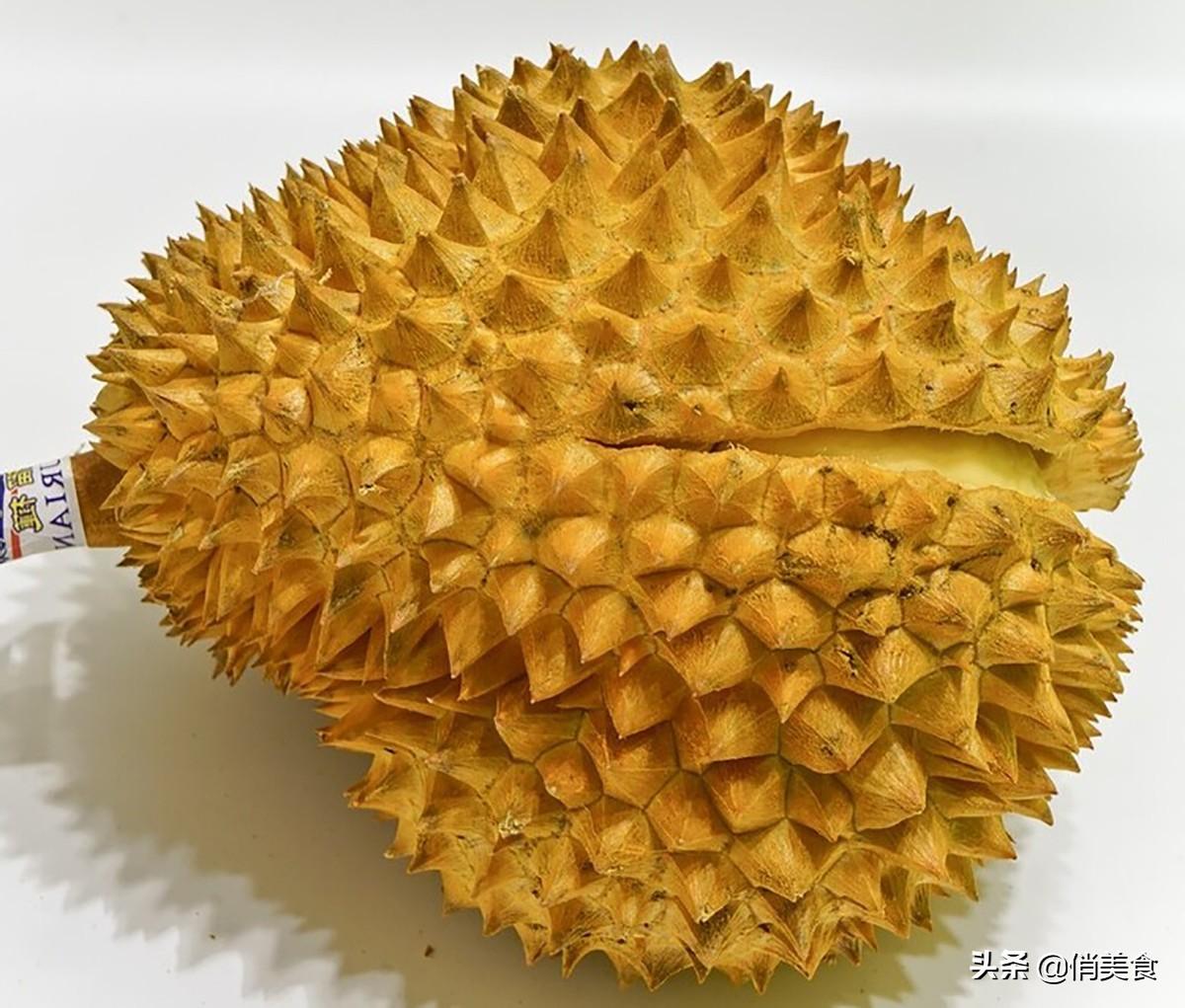 榴莲怎么挑选才肉多皮薄(榴莲要怎么选才肉多皮薄)-第11张图片 榴莲怎么挑选才肉多皮薄(榴莲要怎么选才肉多皮薄)-第11张图片