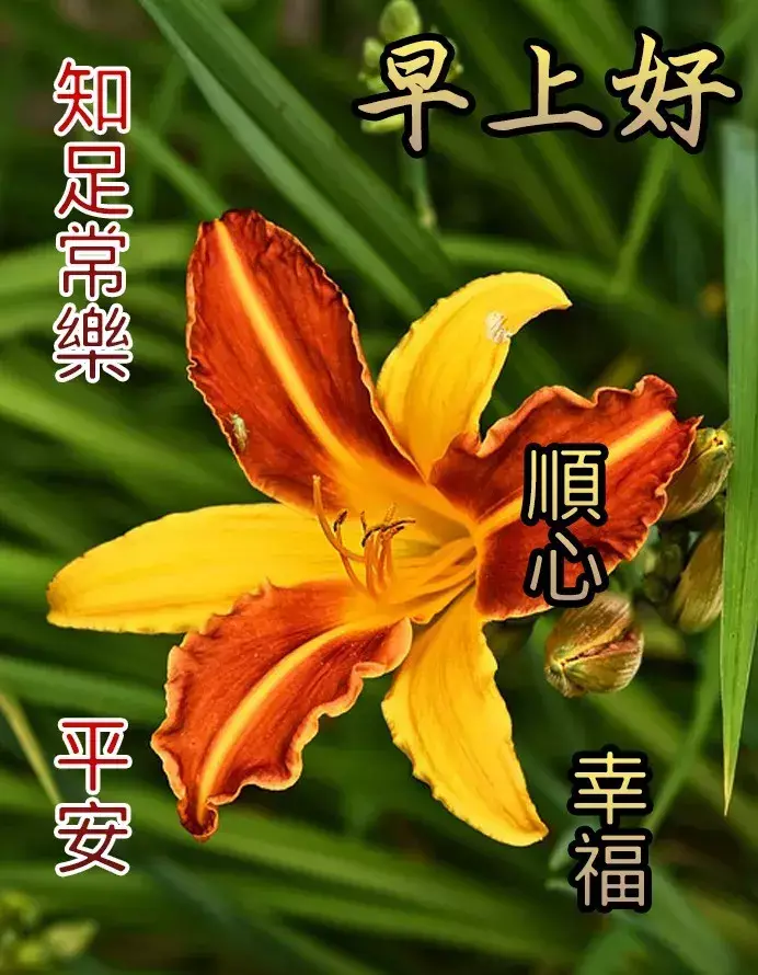 早安健康心语正能量健康-第4张图片 早安健康心语正能量健康-第4张图片