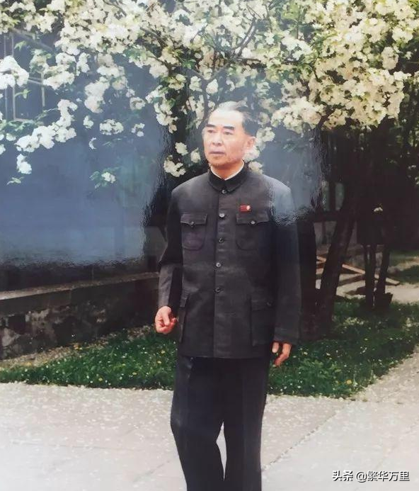 同样是演周总理,将王铁成、刘劲和孙维民放一起看,差别就出来了-第5张图片 同样是演周总理,将王铁成、刘劲和孙维民放一起看,差别就出来了-第5张图片