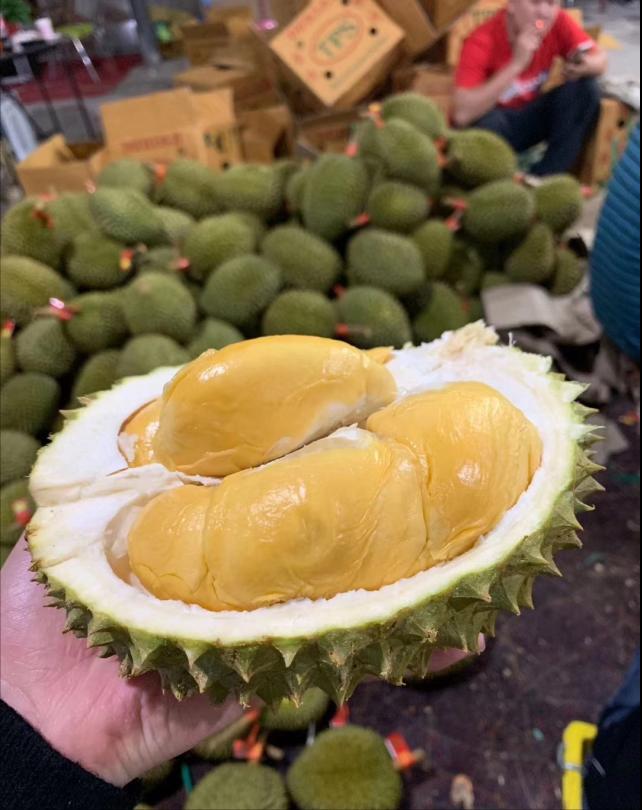 泰国托曼尼榴莲怎么样（托曼尼榴莲口感如何好吃吗）-第12张图片