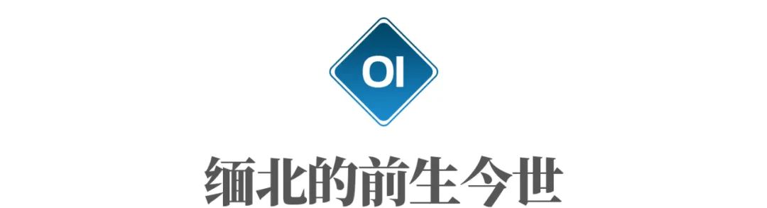 这里生活着100万华人，为什么成了坑害同胞的“犯罪天堂”？-第2张图片