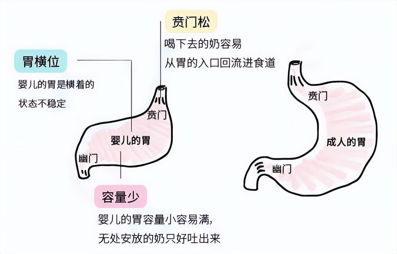 婴儿吐奶怎么办,0-1岁婴儿吐奶-第3张图片