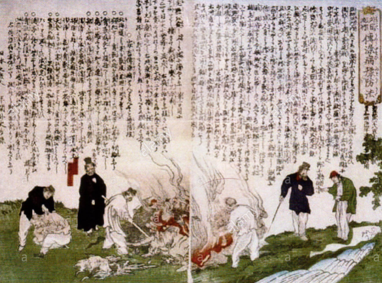 人类消灭了哪种病毒(人类消灭了几种病毒)-第11张图片 人类消灭了哪种病毒(人类消灭了几种病毒)-第11张图片