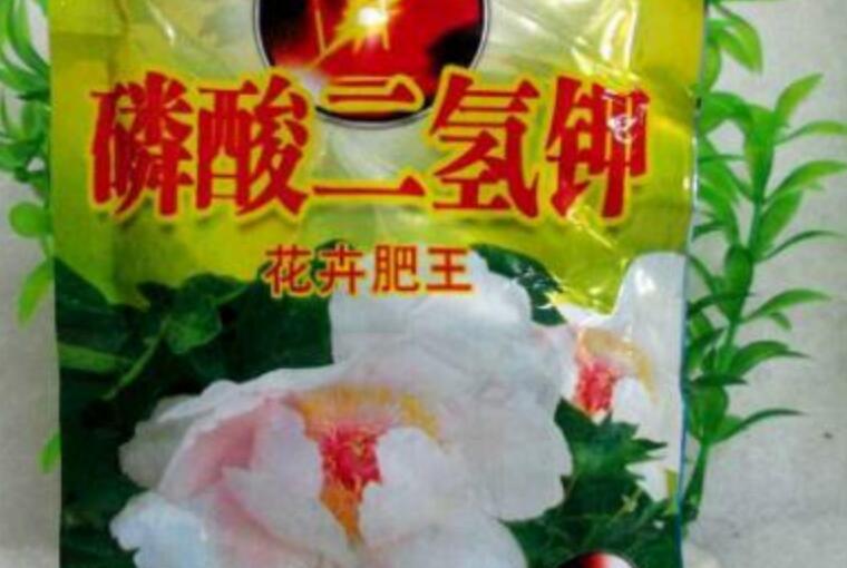 种花用什么肥料最好（花需要上什么肥能养好）-第3张图片